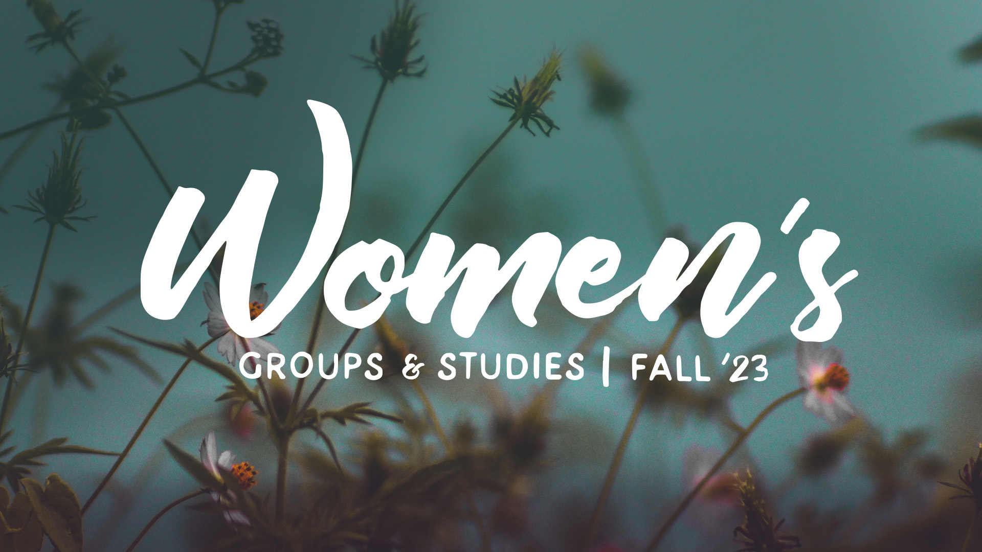 womens fall studies 23