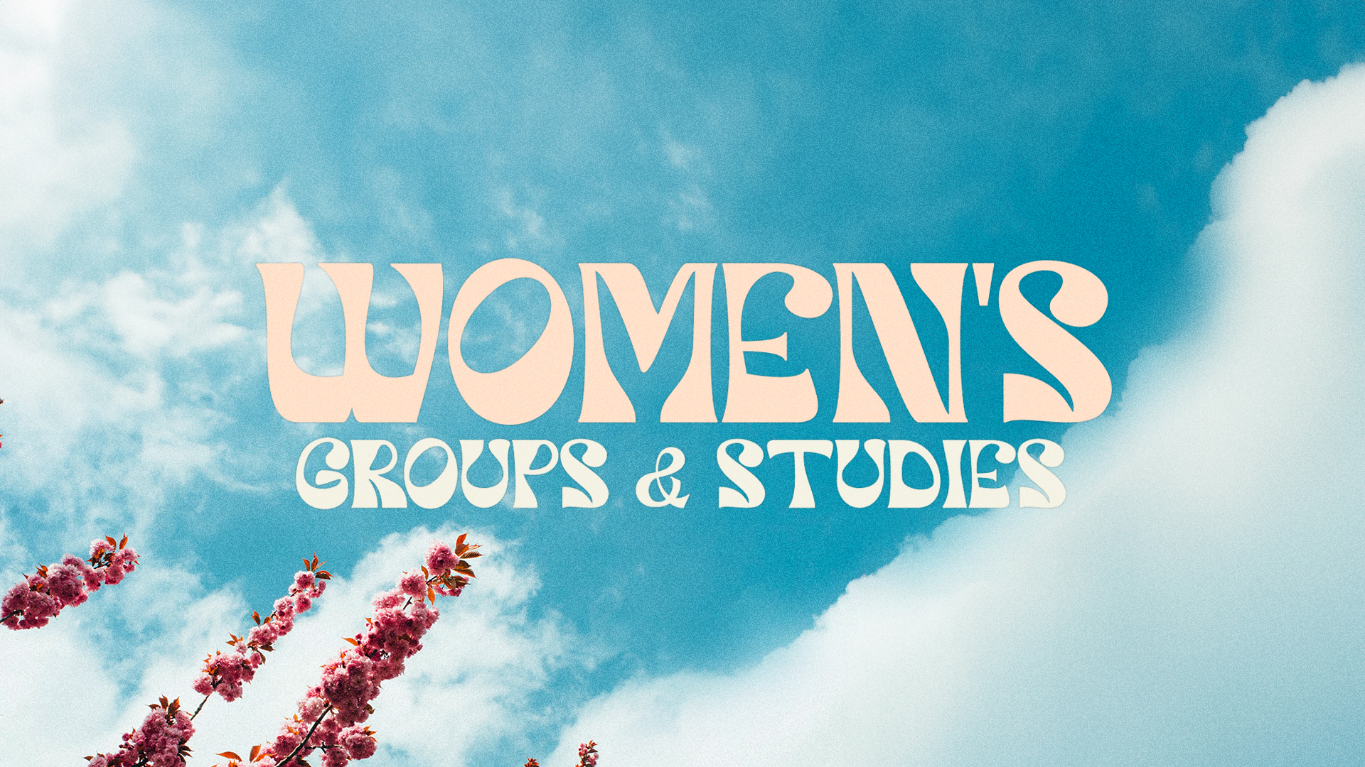 Womens Bible Studies - spring 24